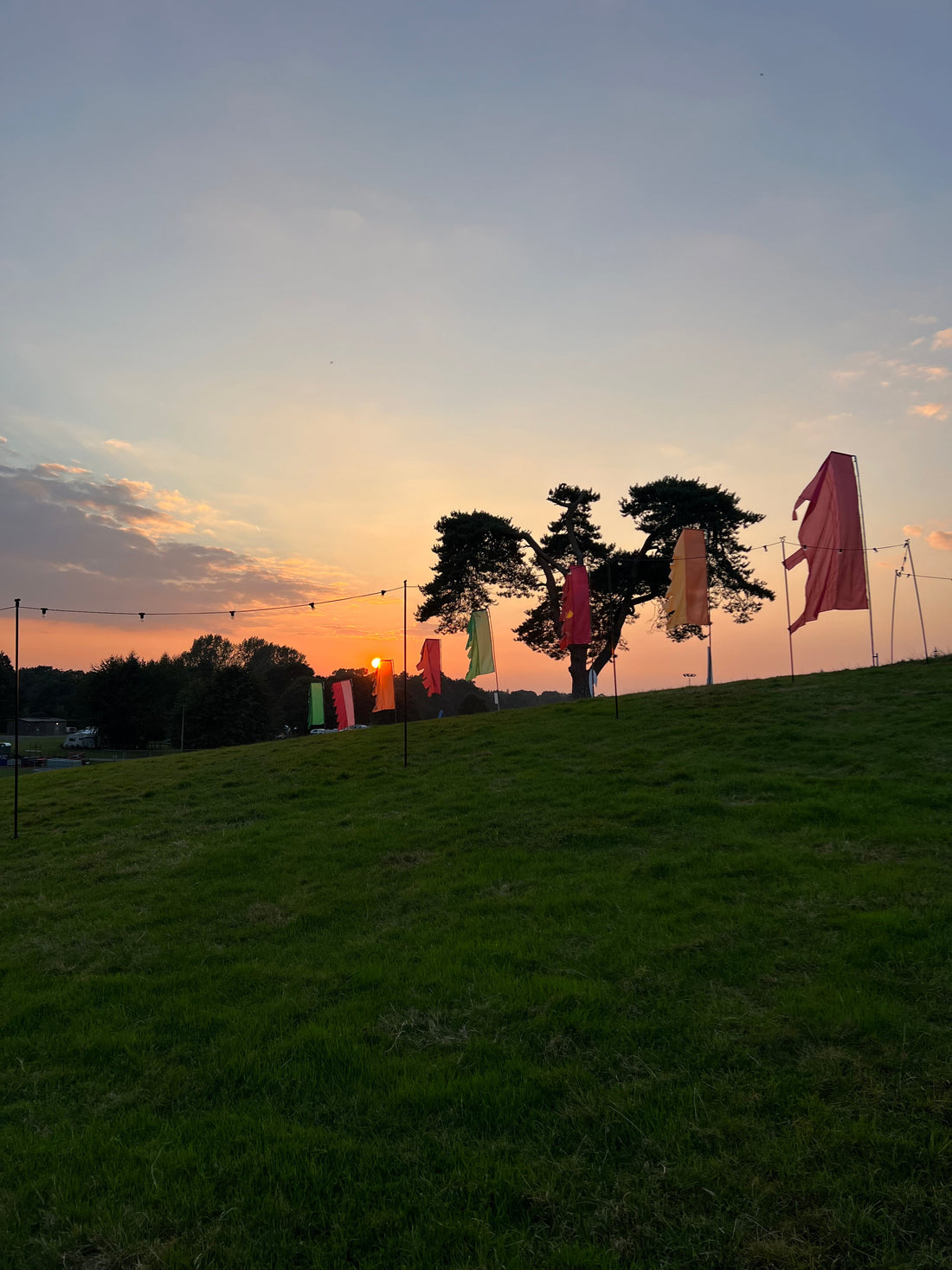 Festival fields